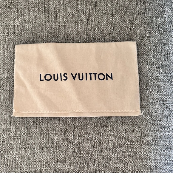 EUC SMALL LOUIS VUITTON ENVELOPE DUST BAG - Picture 1 of 2